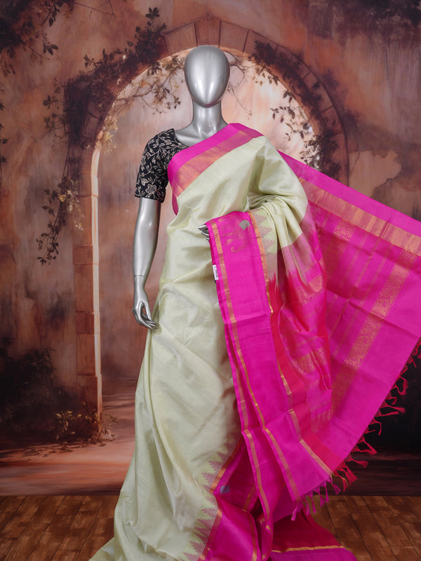 Elegant Pastel Green and Magenta Pure Silk Cotton Saree