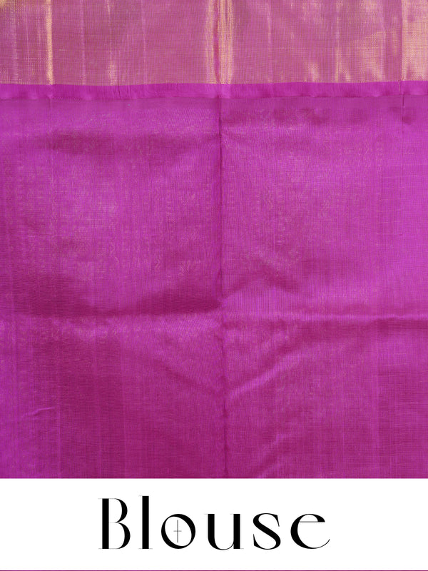 Elegant Pure Silk Cotton Saree in Lime Green and Magenta Pink