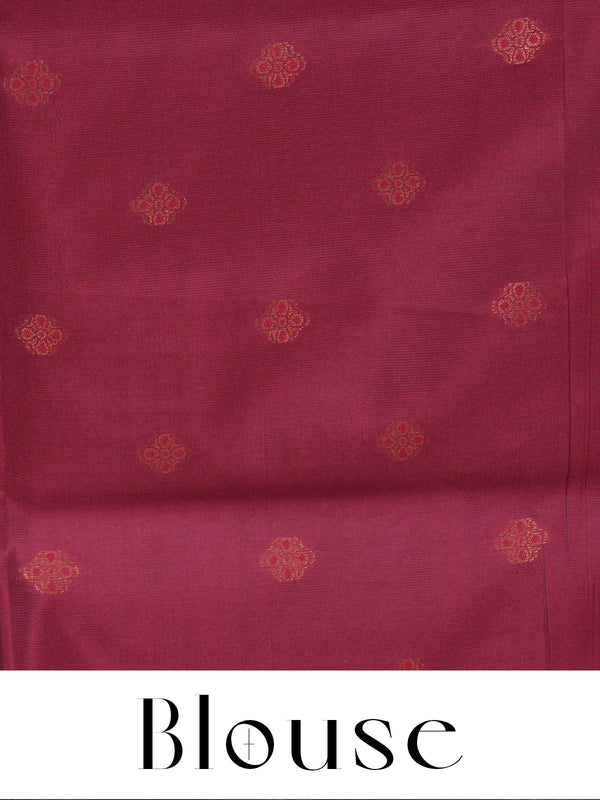 Cream Gold Semi Silk Saree