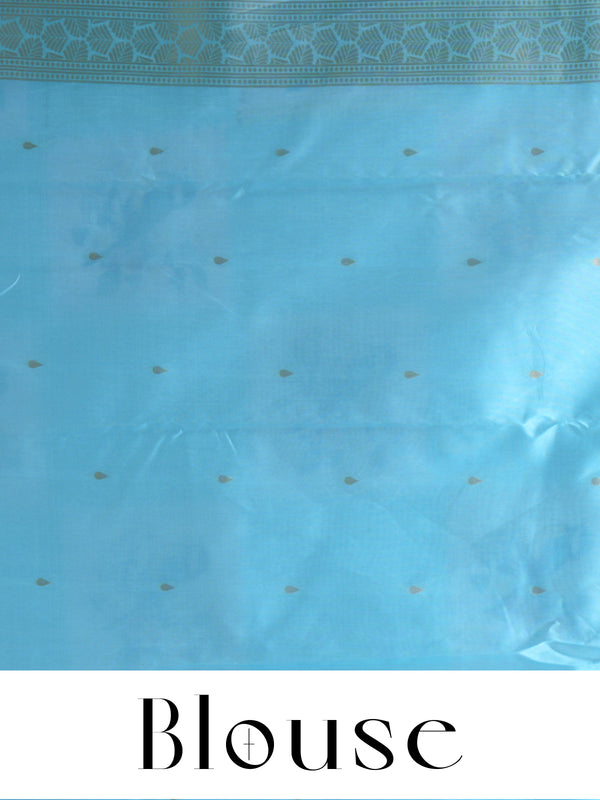 The "Cyan Horizon  blue and pastel cream " Bird Motif Kanchipuram Silk Saree