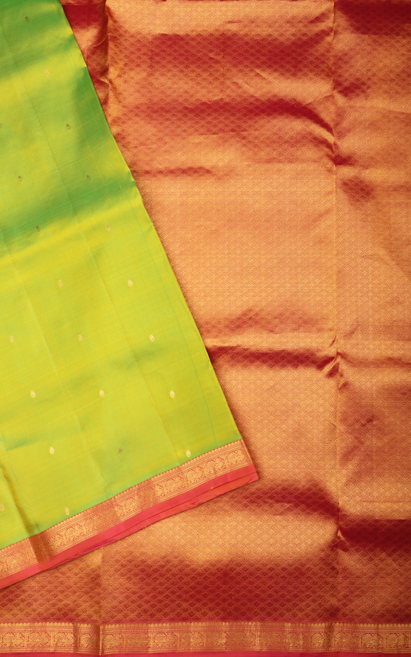 Light Green and Brick 9 Yards Pure Silk Saree